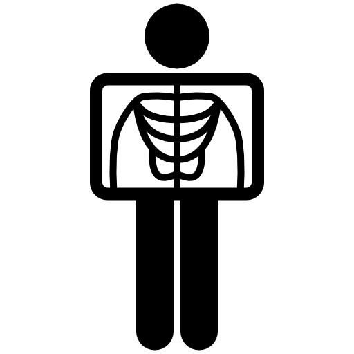 hololight space iconblack sceneview xray